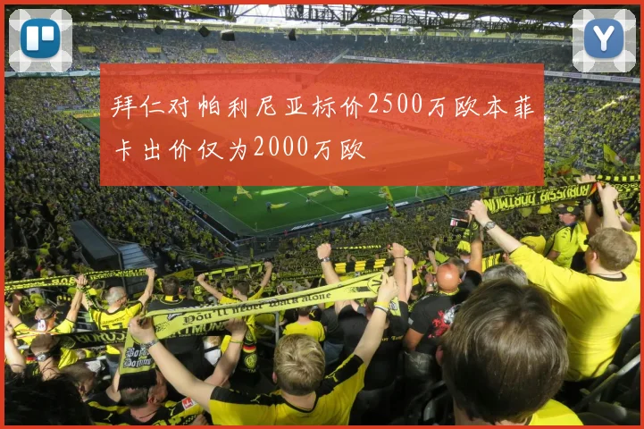 拜仁对帕利尼亚标价2500万欧本菲卡出价仅为2000万欧